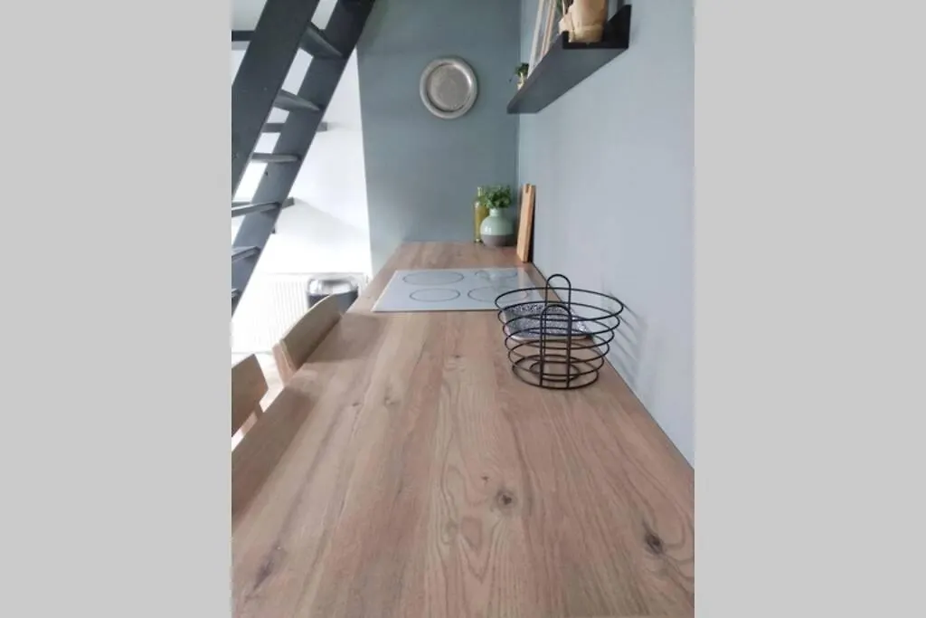 Appartement Duplex Cosy Waz'Aime Proximité commerces et Metro Cormontaigne ou Gambetta à Lille